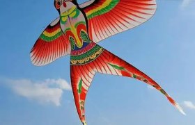 各地特产