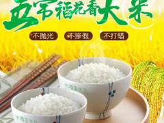 地方名产区域代理招商