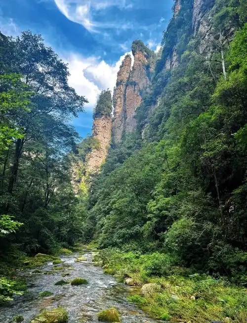 张家界森林氧吧游