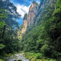 张家界森林氧吧游
