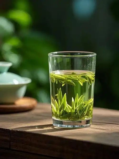 西湖龙井明前茶