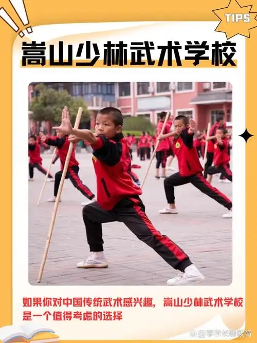 少林武术研学营
